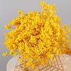 Atacado Gipsofila Flor Imortal Gipsofila Buquê de Flor Seca Material DIY Presente Dia das Mães Flor Presente Barraca de Rua
