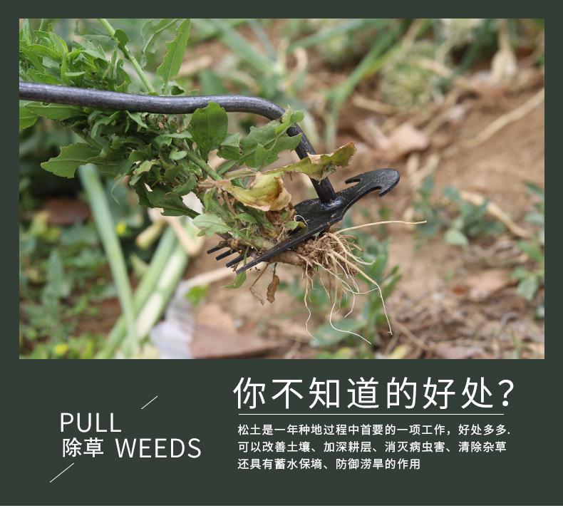 详情_03.jpg