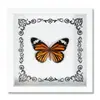 Espécime de Borboleta Real Decoração de Casa DIY Moldura de Madeira para Fotos Suprimentos de Pintura Decorativa Avançada Presente Moderno Presente Criativo