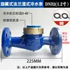 Medidor de Agua con Paletas Rotatorias de Pequeño Diámetro con Brida DN32 Mecánico Digital LXS-25E Para Hogar e Industria Medidor de Agua con Brida de 2 Dimensiones