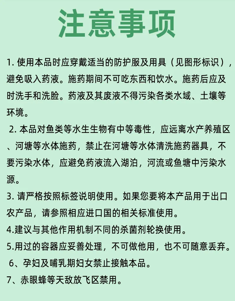 米西达-1_07