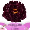 Cabeza de Flor Simulada Flor de Seda Boda Flor de Seda Accesorios Linterna LED Utilería para Fotografía Flor de Peonía Luz Nocturna