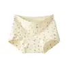 Roupa Íntima de Algodão Puro de Ângulo Plano para Mulheres, Antibacteriana, Fundo 100% Algodão, Novo Boxer Feminino Sem Costura que Modela o Quadril