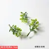 Accesorios DIY de Flores y Plantas, Césped Artificial de Plástico, Accesorios para Cajas de Regalo de Flores, Plantas Verdes Artificiales, Césped para Acuarios, Paisajismo para Mesa de Arena