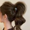 Pinza para el pelo de tamaño mediano para mujer, herramienta para fijar coletas altas, pinza de tiburón de alta gama modelo nuevo 2026 para la parte posterior de la cabeza