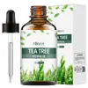 Hllozzi Venta Caliente Transfronteriza 60ml Perfume Vegetal de Lavanda Fragancia Única Fragancia Duradera Aceite Esencial Vegetal