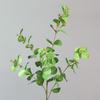 Flor de Simulación Planta de Hoja de Eucalipto Hoja de Dinero Decoración del Hogar Escena de Planta Verde Artificial Diseño Material de Hoja de Flor de Seda