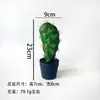 Flores Artificiales Plantas Tropicales Cactus en Maceta Gasa Negra Fabricante Internacional de Plantas Artificiales Suministro Directo Transfronterizo Envío Directo de una Pieza