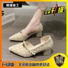 Sapatos femininos de salto grosso estilo francês, de camada única, 2024, novos, para a primavera, todos os dias, estilo suave, para o fim da noite, com bico fino e elegante, sapatos de salto alto