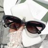 Nuevas Gafas de Sol Ojo de Gato de Montura Pequeña Europeas y Americanas Transfronterizas Personalizadas Gafas de Sol de Moda para Mujer 5134