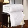Núcleo de Edredom Espesso para Ar Condicionado para Aquecimento, Edredom de Algodão de Inverno, Colchão de Dormitório Estudantil Individual/Duplo, Fleece Quente Atacado de Fabricante