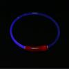 Collar Luminoso para Mascotas para Prevenir Pérdidas, Collar con Luz LED, Collar Intermitente para Perros, Collar para Paseos Nocturnos de Perros, Brilla en la Oscuridad, Paseos Nocturnos, Antiperdida
