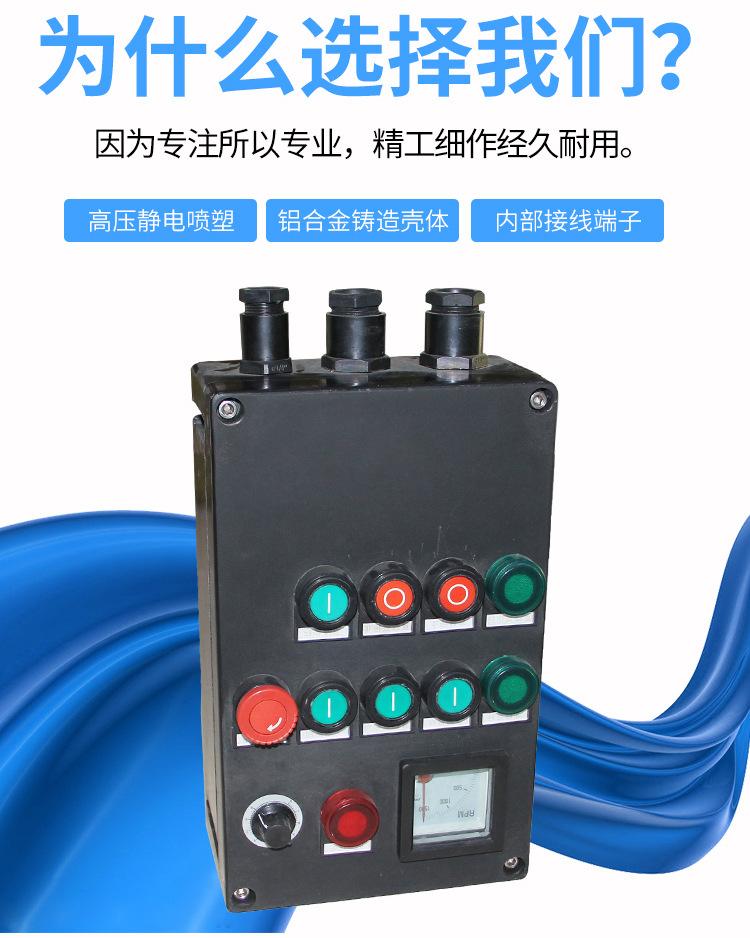 BXK8050防爆防腐控制箱_05