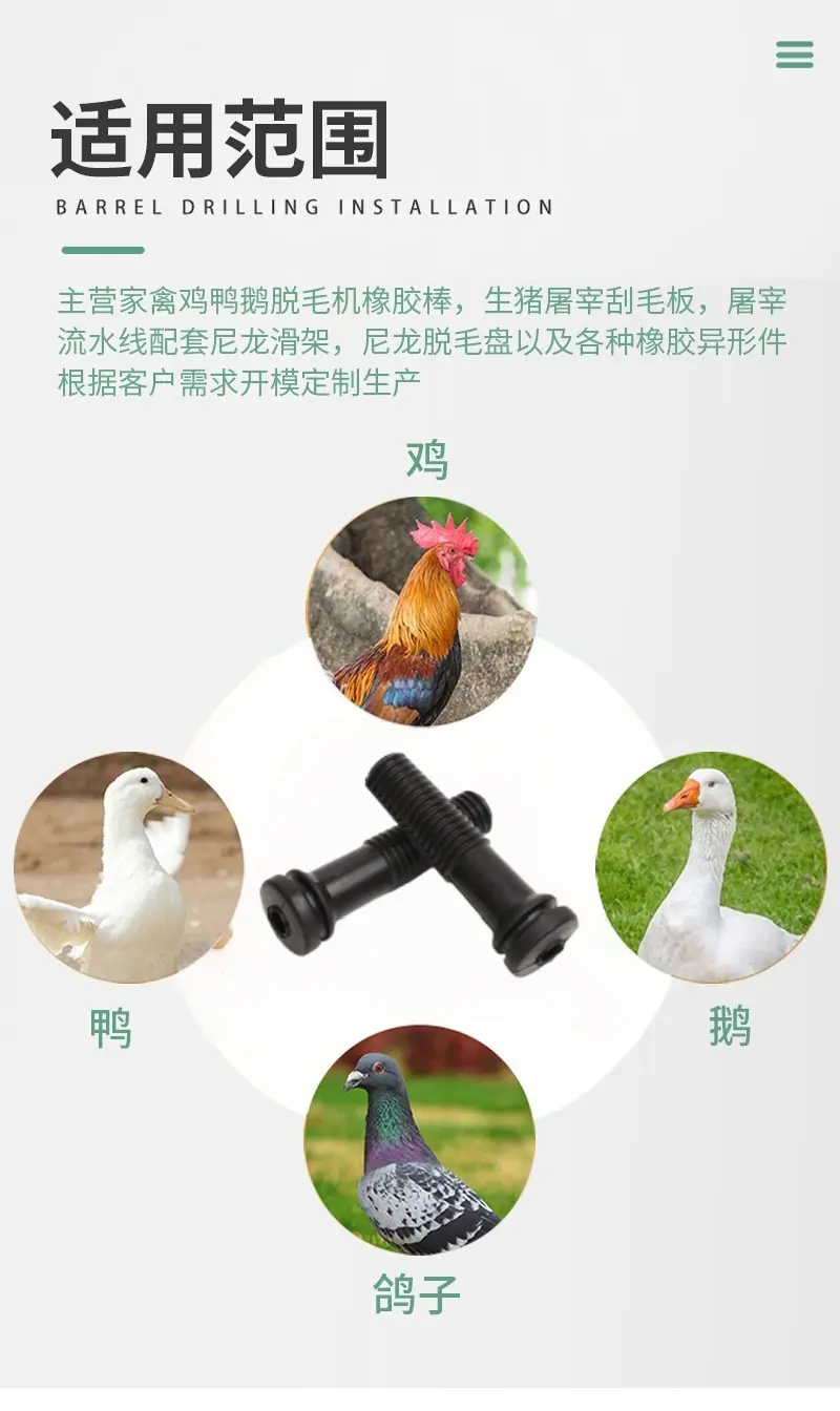详情2_03_副本_副本