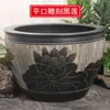 Jarrón de Tanque de Peces Cerámico Jingdezhen para Loto Nenúfar Tortuga Koi Tanque de Caligrafía y Pintura Tanque de Agua Extra Grande Antiguo Patio