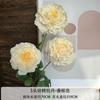 Flor Artificial Peonía Koi de 3 Cabezas Decoración Salón de Bodas Guía de Camino Flor Falsa de Suelo Decoración Hogar Sala de Estar Material Floral Venta al por Mayor