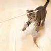 Juguete para gatos con mango de tronco, cuerda de algodón y cáñamo, campana de plumas, juguete interactivo para gatos.