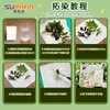 Kit de Ferramentas para Tingimento e Esfregamento de Plantas Pacote de Materiais Leque Redondo Pacote de Lona Impressão e Tingimento Esfregamento Alúmen Agente Fixador de Cor