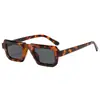Gafas de Sol Cuadradas Tridimensionales Estilo Europeo y Americano, Anti-UV, Gama Alta, Modernas, Personalizadas Estilo Pasarela para Mujer