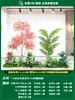 Paisagismo de Planta Artificial Varanda Arranjo de Paisagem Escada Interna Sob Árvore de Flores Artificiais Decoração Biomórfica Planta Verde Paisagismo Combinação