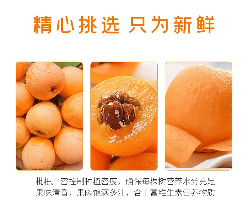 云南蒙自枇杷详情图