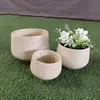 Jardín de hortalizas terminado productos semiesféricos de magnesita maceta de cemento equipo de plantación en azoteas dispositivo de flores para suelo de oficina
