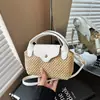2026 Nuevo Estilo Bolso Cruzado de Hombro Tejido Estilo Festivo Simple y Versátil para Mujer, Adecuado para el Trayecto Diario y el Uso Casual, Bolso de Mano Pequeño de Lujo Ligero para Mujer
