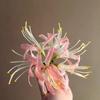 Horquilla de estilo pastoral con forma de estrella y flor de Bianhua, estilo antiguo de hada, con clip lateral Hanfu.