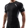 Roupas esportivas masculinas transfronteiriças, roupas de ginástica, camiseta de secagem rápida e respirável com gola redonda, camiseta de manga curta masculina para corrida, justas, roupas de treino