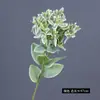 Hojas con Borde Blanco, Plantas Artificiales, Plantas Verdes, Flores Artificiales, Accesorios para Arreglos Florales, Decoración del Hogar, Nieve Alpina, Hojas Esmeralda con Borde Plateado