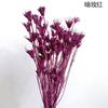 [Flor seca octogonal] Pequeña planta creativa de arte fresco, accesorios decorativos para fotografía de flores.
