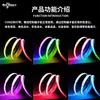 Tira de Luces LED RGB Fantasía Cob Controlada por App Personalizada por el Fabricante 24V con IC para Efecto de Agua Corriente y Decoración Ambiental