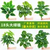 Paquete de 18 Plantas Verdes Artificiales para Decoración, Incluyendo Platanillo de Viajero, Palma Areca y Árbol del Dinero, para Decoración de Pared con Follaje Verde