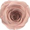Caja de Joyería Cuadrada de Flores Eternas, Caja para Anillo Flor de Rosa de Cristal, Regalo de Boda San Valentín con Flores Secas, Accesorios de Decoración para Puesto