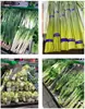 Máquina atadora de verduras cinta para atar frutas y verduras máquina atadora automática comercial cinta para sellar fresco del día corte de extremo atado