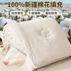 Colcha de Algodón de Xinjiang Clase A para Maternidad e Infancia, Colcha de Invierno Espesa y Suave, Núcleo de Colcha Cálido 100% Algodón, Colcha de Primavera y Otoño, Colcha de Regalo, Venta al por Mayor