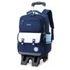 Nova Mochila Escolar com Haste de Peixe Natural para Alunos do Terceiro ao Sexto Ano do Ensino Fundamental e Médio Proteção da Coluna e Descompressão Mochila de Escalada Removível