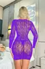 Lencería Sexy Comercio Exterior Europeo y Americano Transfronterizo Falda que Cubre la Cadera Corte Cut Out Transparente Manga Larga Sexy Ropa de Malla K048