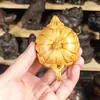 Tallado en Madera de Tuya Taihang Calabaza de Mano Maceta Adornos con Cejas Felices Tetera Maceta de Mango Sólido Adornos