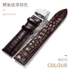Correa de Cuero para Reloj Capa Superior Cocodrilo Piel de Vaca Correa Hebilla Mariposa Doble Presión Accesorios para Reloj una generación de cabello