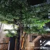 Árbol de la Fortuna Banyan Bonsái Interior Sala de Estar Simulación de Banyan Bonsái Ventana Tienda de Ropa Oficina Grande Decoración