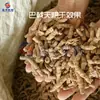 Secador de Energía del Aire con Morinda Officinalis, Secador Deshumidificador de Morinda Officinalis para Medicina Herbal China, Sala de Secado de Morinda Officinalis