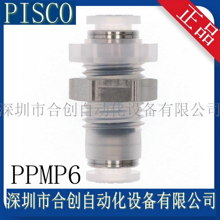 PPMP6