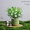 Árbol del Dinero Planta en Maceta Decoración Creativa de Planta para Escritorio Flor y Planta Verde para Oficina Adorno Hiedra Coco Rico Verde Bonsái Pequeño
