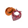 Sombrero de Gato Sombrero de Vaquero Occidental Mascota Perro Foto Lindo Divertido Sombrero para la Cabeza Perro Pequeño y Mediano Protección Solar Sombrero para el Sol