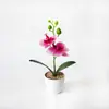 Dos orquídeas Phalaenopsis artificiales, una grande y una pequeña, hechas de plástico de tacto suave, adecuadas para decoración de fotografía de bodas en macetas pequeñas