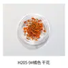 Estilo Ins japonés flor seca para uñas joyería pétalos pequeños Cielo Estrellado 12 rejillas colorida encaje flor decoración de uñas flor