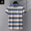 Camisa Polo Masculina Paisenlong Camiseta Listrada de Manga Curta Camiseta Base Fina de Verão Masculina Camiseta com Gola Polo Casual de Negócios