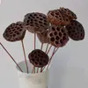 Cailuotong Passepartout Flores Secas Flores de Fruta Seca Literario Pequeño Fresco Arreglo Floral Hecho a Mano Decoración para Sala de Estar Dormitorio Pantalla
