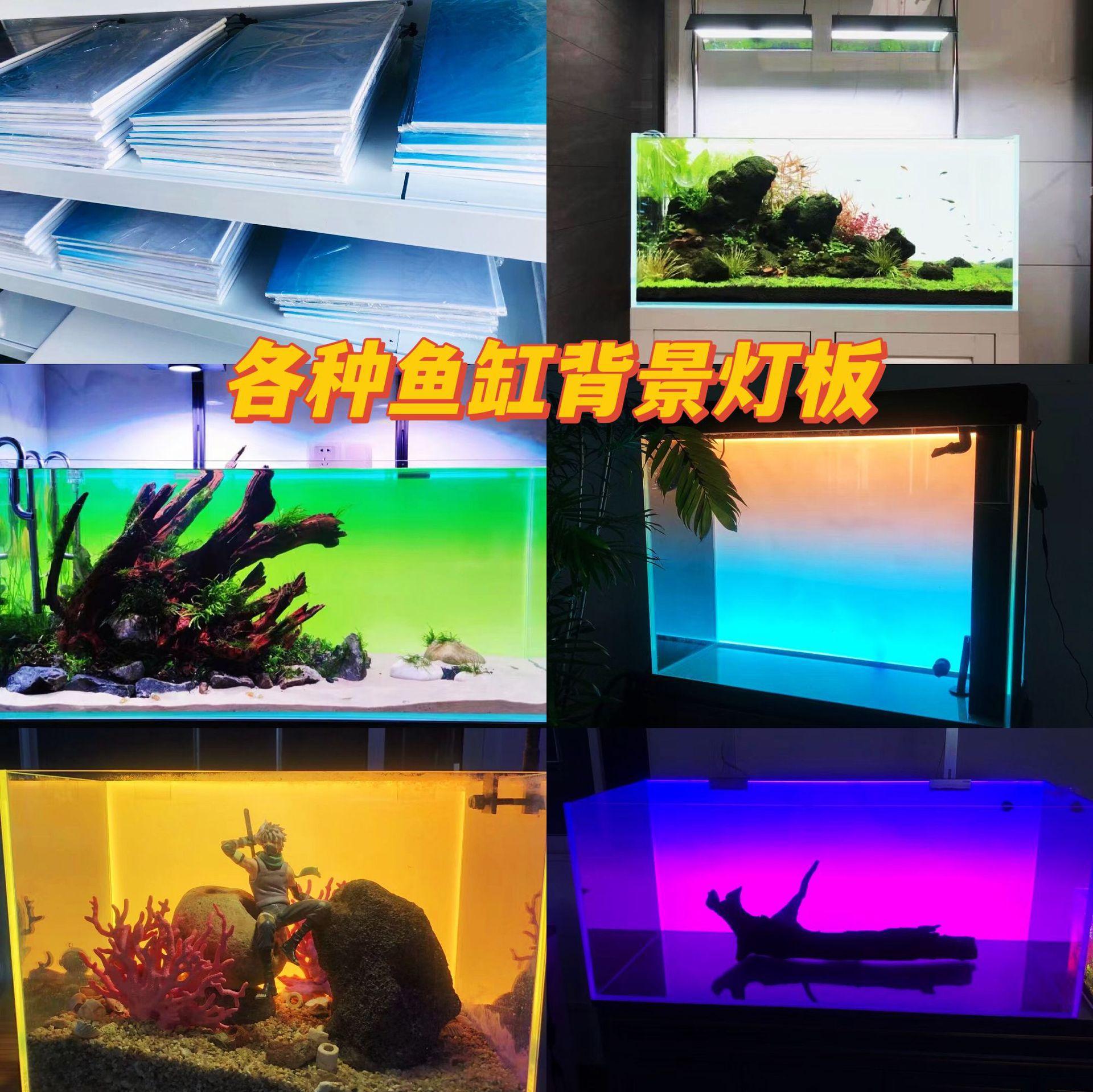 详情
